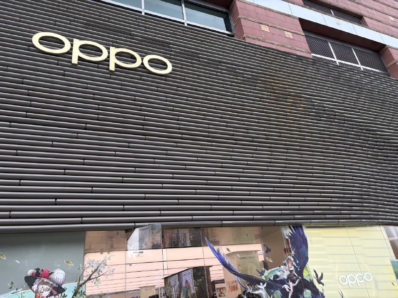 这是全宇宙最大的 oddo 店吗