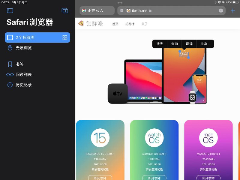 这 OCR 很强