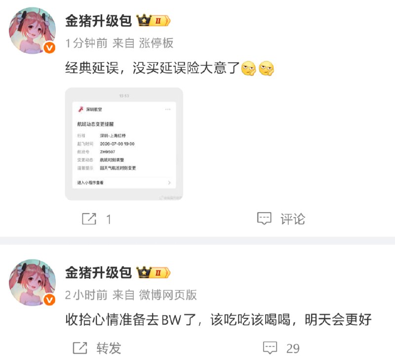 唉，猪宝