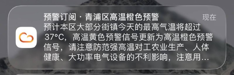 我的彩云还在青浦没回来