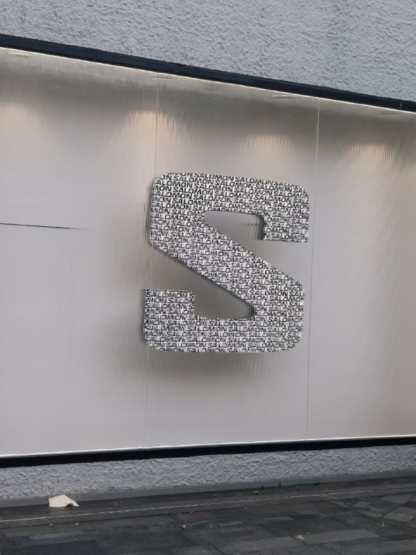 萨洛蒙这 logo 怎么一股斯凯奇味儿