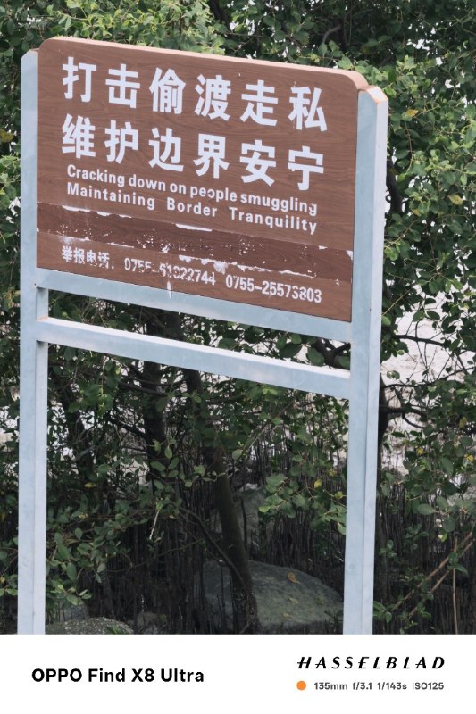 收到