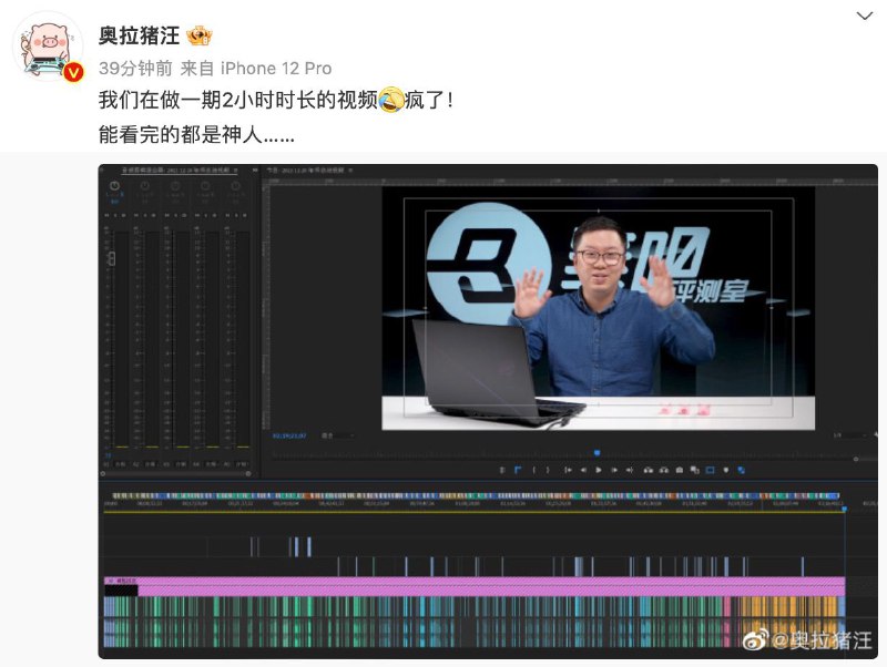 什么猪王 ASMR